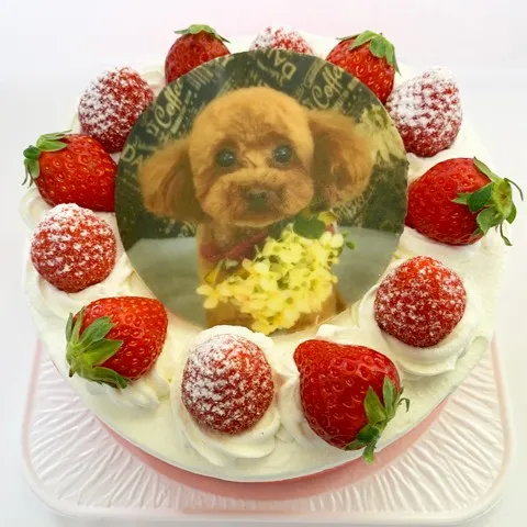 オリジナルプレートの一例